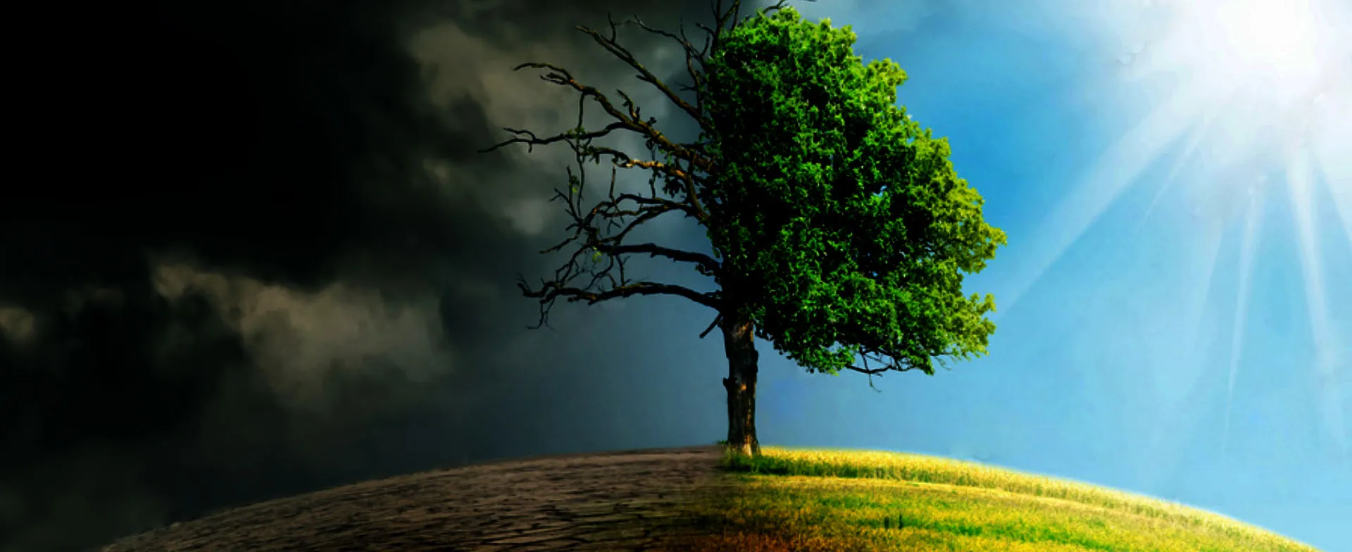 Banner Klimawende 01