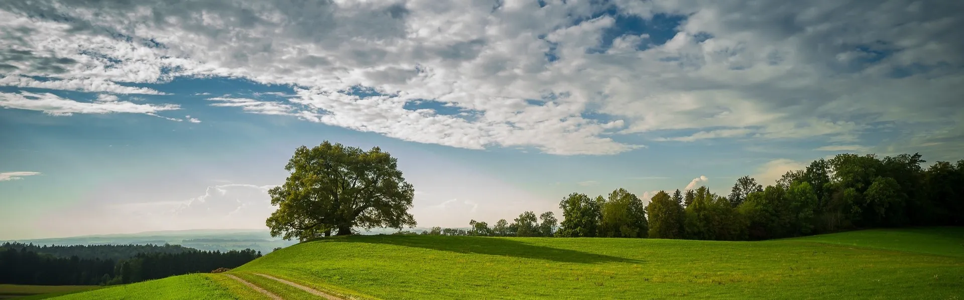 Klimawende 4