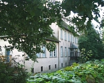 Dammgut